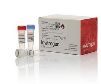 Invitrogen_V35118_Vybrant FAM Caspase-3和Caspase-7检测试剂盒 VYBRANT FAM CASPASE-3 AND -7 A_1kit - 