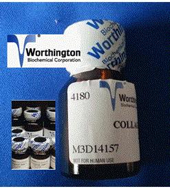 LS004176_Worthington Collagenase Type II 胶原酶I_1g - 