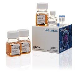 Gibco_A29129_Gibco，ExpiFectamine CHO Transfection Kit（试剂）_For 1 L of culture - 