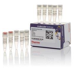 热电/Thermofisher_K1621_RevertAid First Strand cDNA Synthesis Kit试剂_20 reactions - 