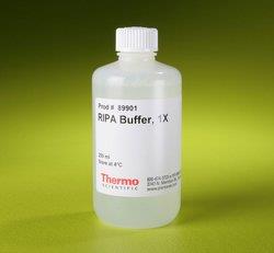 热电/Thermofisher_89901_RIPA Lysis and Extraction Buffer试剂_250ml - 