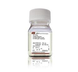 热电/Thermofisher_15140122_Penicillin-Streptomycin, Liquid 试剂_100ml/瓶 - 