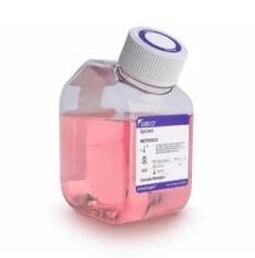 Thermo Scientific_MEPI500CA_GIBCO Epilife  Medium  500ml_规格500ml - 