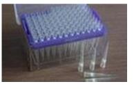 爱思进/Axygen_TE-1004-B_Eppendorf 移液器用吸头_1000ul蓝色枪头，Eppendorf and Socorex 移液器用