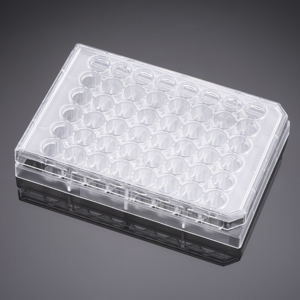 Corning® BioCoat™ Collagen I 48 Well Clear Flat Bottom TC-Treated Multiwell Plate with Lid, 5/Pack,