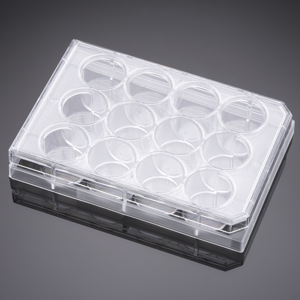 Corning® BioCoat™ Poly-D-Lysine 12 Well Clear Flat Bottom TC-Treated Multiwell Plate, with Lid, 5/Pa