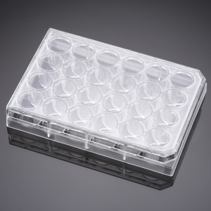 Corning® BioCoat™ Collagen I 24 Well Clear Flat Bottom TC-Treated Multiwell Plate with Lid, 5/Pack,