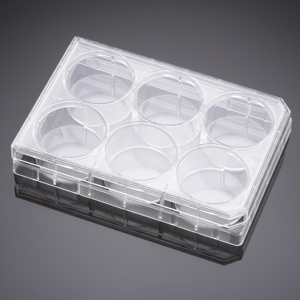 Corning® BioCoat™ Collagen I 6 Well Clear Flat Bottom TC-Treated  Multiwell Plate, with Lid, 5/Pack,