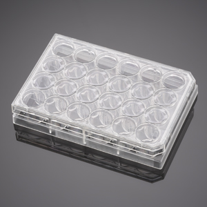 Corning BioCoat Collagen IV Inserts with1.0µm Polyester (PET) Membrane in two 24 Well Plates, 12/Pac