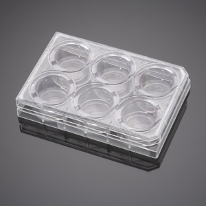 Corning BioCoat Control Inserts with 1.0µm Polyester (PET) Membrane in four 6 Well Plates, 6/Pack, 2