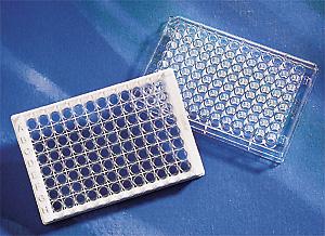 96孔板 DNA结合表面 平底 透明 单个包装;DNA-BIND® Clear 96 Well Polystyrene Microplate without Lid, Nonsterile, 50 p