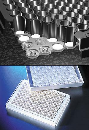 96孔0.66mm孔径玻璃纤维膜过滤，未灭菌;FiltrEX™ 96 Well Filter Plates with 0.66mm Thick Glass Fiber Filter, Nonsteri