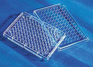 96孔板，透明，CellBIND表面;Corning® CellBIND® 96 Well Clear Flat Bottom Polystyrene Microplate, with Lid, St