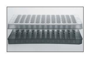 耐思/NEST_409013_PCR板_40ul 罗氏专用PCR384孔板 半裙边 矮管 A24切角