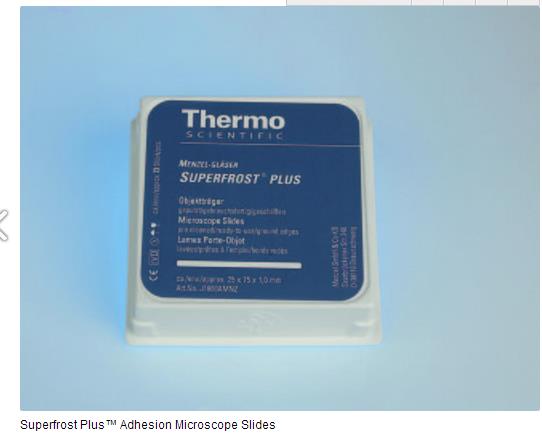 J1800AMNZ_thermoSuperf2rost Plus 防脱玻片90°角，白色丝印_72片/盒(网站货号：J1800AMNT）