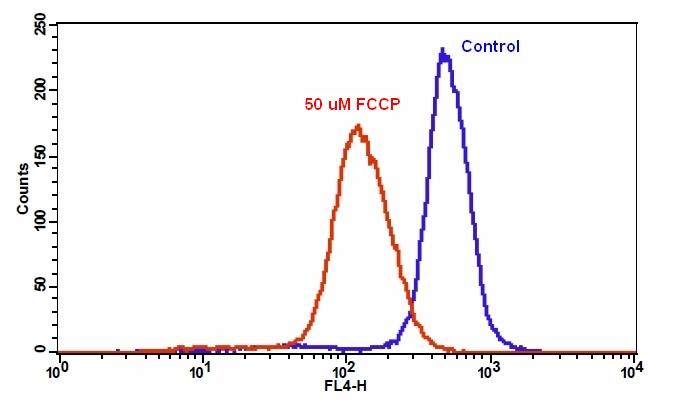 Cell Meter 线粒体膜电位近红外检测试剂盒 适合流式细胞检测     货号22802