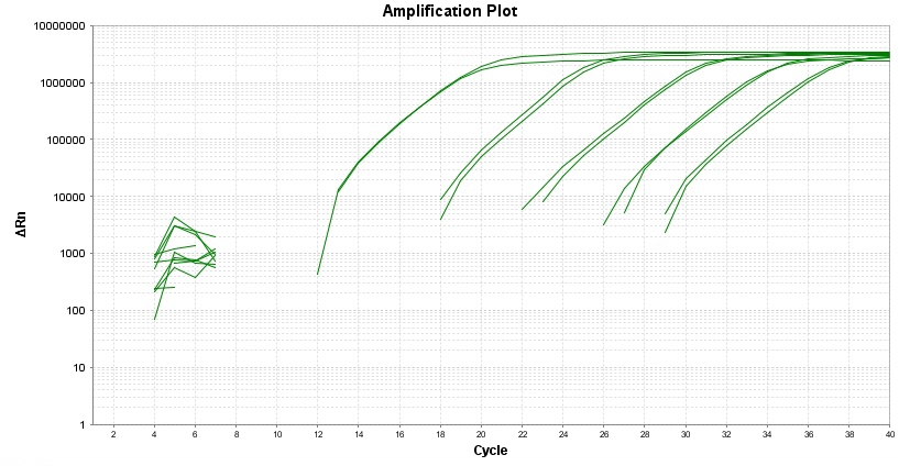 TAQuest FAST qPCR Master Mix with Helixyte Green *无ROX*    货号17276