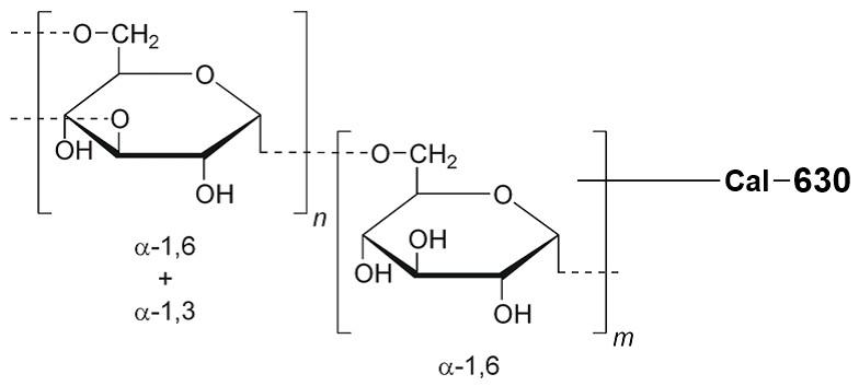 钙离子荧光探针Cal-630-Dextran Conjugate *MW 10,000*    货号20546