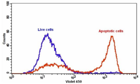 Annexin V-Cy3标记    货号20065