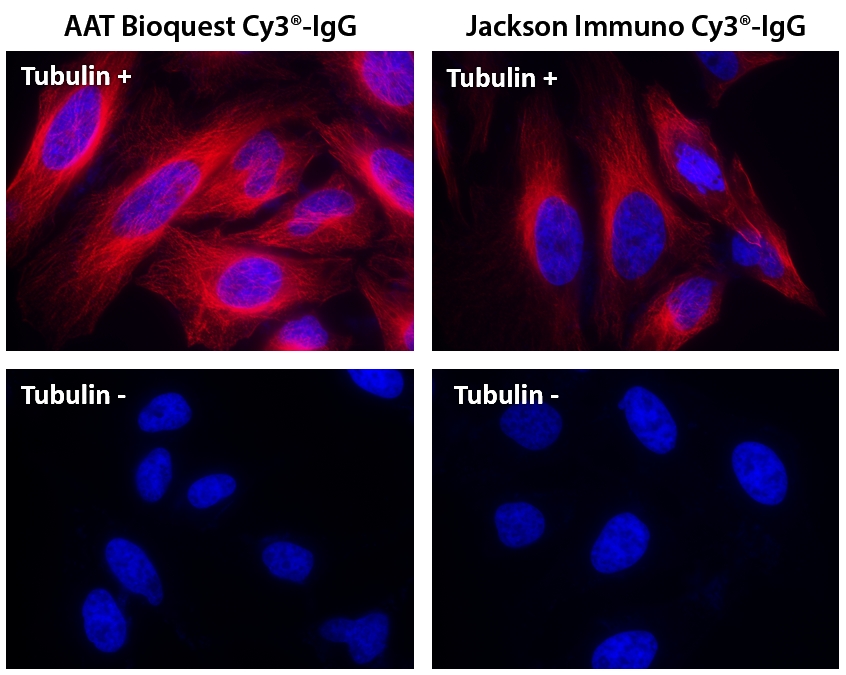 Cy3 NHS酯 CAS 146368-16-3    货号141